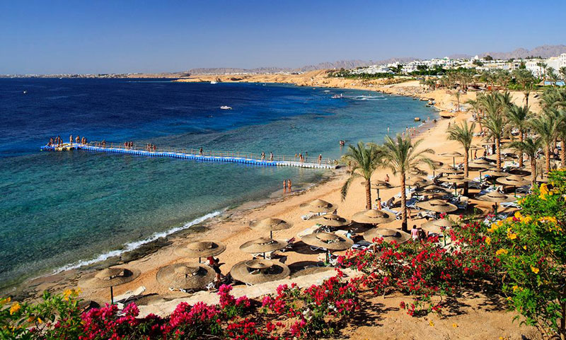Tới Sharm El Sheikh, du khách còn được nếm các món ăn được chế biến từ hải sản tươi ngon.