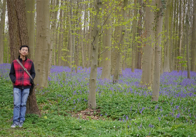 Chàng trai Việt lạc bước giữa rừng hoa chuông xanh ở Bỉ