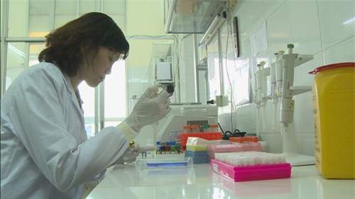 Con đường đến đề cử duy nhất nhà khoa học nữ Giải thưởng Tạ Quang Bửu năm 2017 - 1