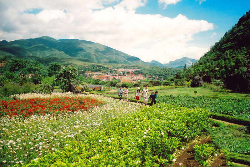 Đến với núi Hàm Rồng du khách không những được tận hưởng cảnh sắc thiên nhiên hoang sơ của đất trời mà còn được thưởng thức sự trong lành, mát mẻ của khí trời Sa Pa. Ảnh: Vietnamtourism.