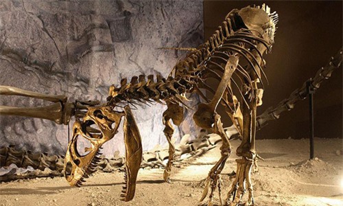Hóa thạch khủng long Allosaurus. Ảnh: Newsweek