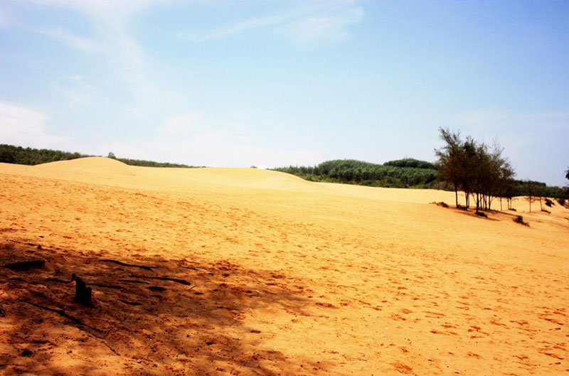 Đây là điểm tham quan thu hút khá nhiều du khách do hình dáng đẹp của cát và màu sắc cát. Ảnh: Trung Đức.