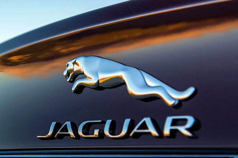 2. Jaguar.