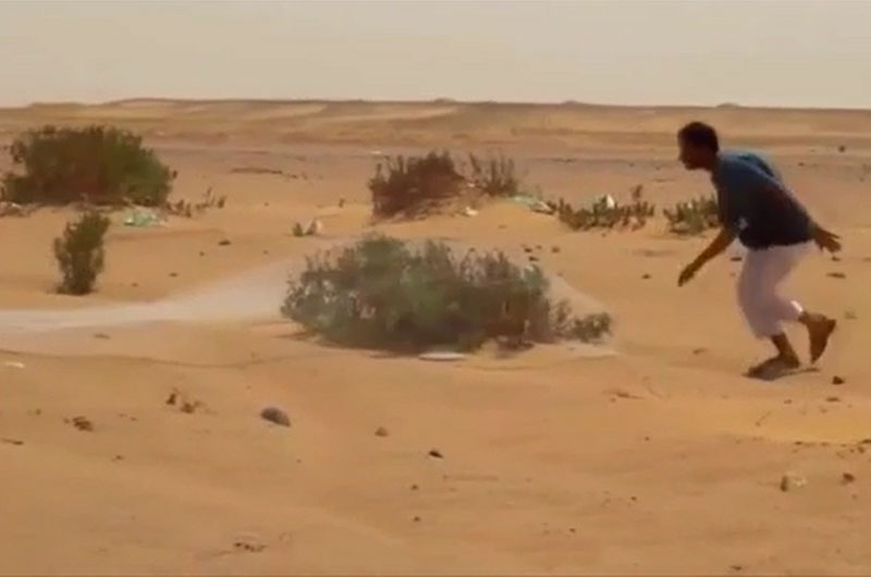 Dùng chài săn chim trên sa mạc.