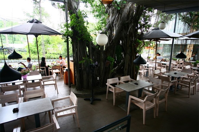 Quán cà phê dưới những tán cây cổ thụ ở Sài Gòn