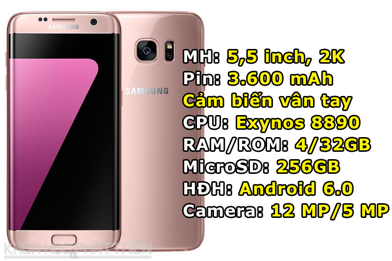 Samsung Galaxy S7 Edge màu vàng hồng.