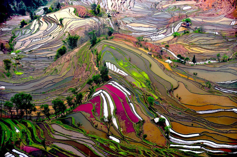 3. Hani. Ruộng bậc thang của người Hà, nằm ở tỉnh Vân Nam, Trung Quốc. Đây là khu vực có lịch sử lên tới 1.200 năm. Vùng trung tâm của ruộng bậc thang nằm ở Nguyên Dương. Khu vực này có diện tích 1.000.000 ha và khu vực được công nhận là di sản thế giới của UNESCO có diện tích 16.603 ha.