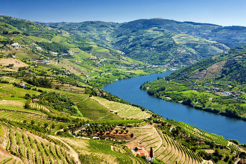 9. Douro. Khu ruộng bậc thang chuyên trồng nho, nằm ở miền Bắc của Bồ Đào Nha. Những ngọn đồi của thung lũng được bao phủ bởi những thửa ruộng nho bạt ngàn, kéo dài ngút tầm mắt.