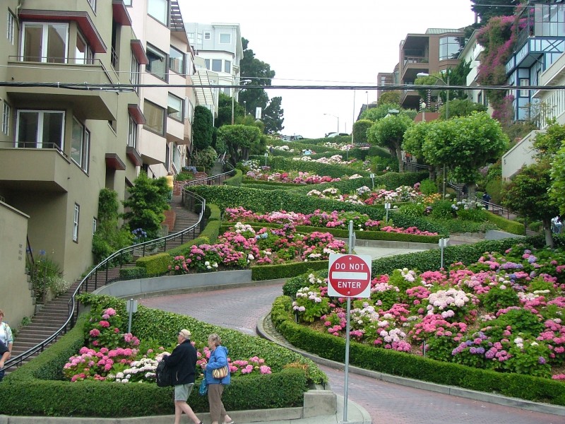 10. Đường Lombard. Là đường phố Đông-Tây ở San Francisco, California, Mỹ. Đường phố này nổi tiếng vì có đường phố dốc, ngoằn ngoèo có trồng hoa đẹp. Đường Lombard bắt đầu ở The Presidio và chạy về phía Đông qua khu Cow Hollow.