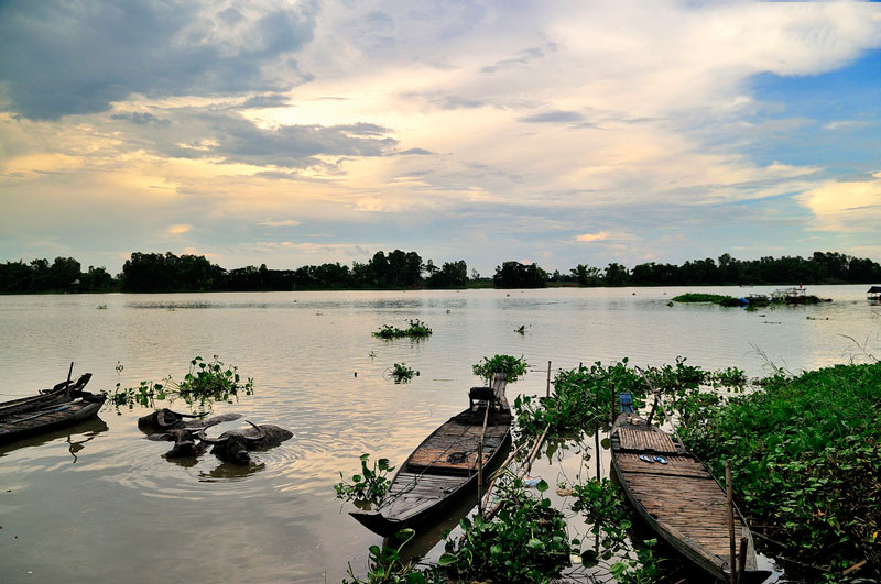 Búng Bình Thiên được coi là một trong những hồ nước ngọt lớn nhất miền Tây Nam Bộ. Ảnh: Diem Dang Dung.