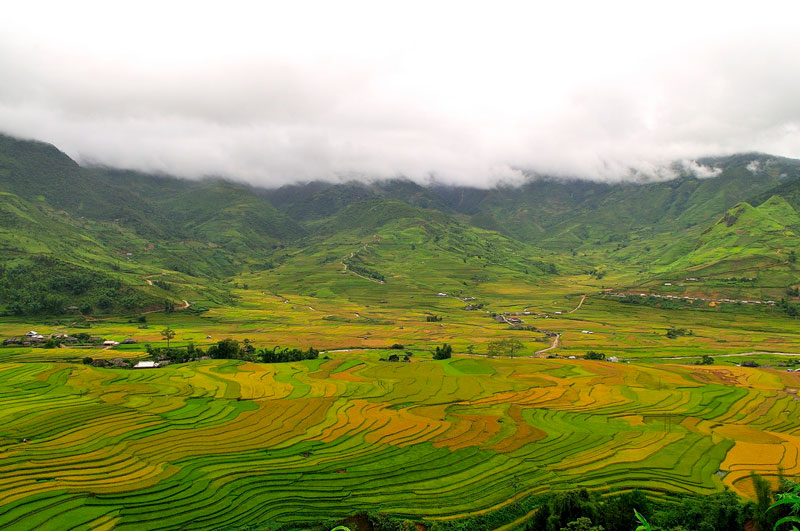 Bản Lìm Mông là một trong những địa chỉ có những cánh đồng lúa đẹp nhất ở Mù Cang Chải. Ảnh: Diem Dang Dung.