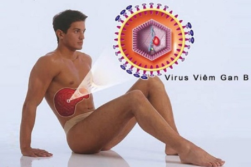 Virus viêm gan B. Ảnh minh họa.