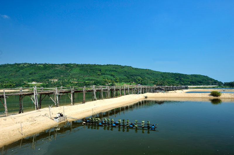 Cầu Ông Cọp dài khoảng 400m, chủ yếu được làm từ gỗ và tre, duy chỉ có các đinh tán được làm bằng sắt. Ảnh: Diem Dang Dung.
