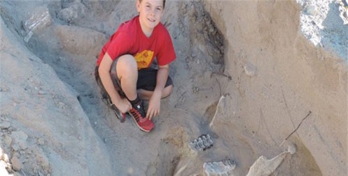 Cậu bé 9 tuổi tìm ra bộ xương hóa thạch 1 triệu năm tuổi - 1