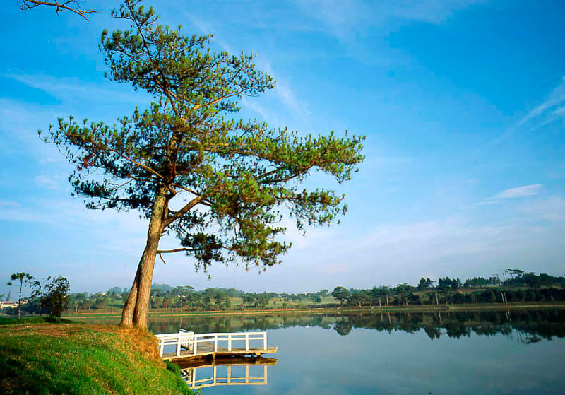 Hồ Xuân Hương là hồ nhân tạo, có chu vi chừng 5 km, rộng 25ha, có hình trăng lưỡi liềm kéo dài hơn 2 km đi qua nhiều địa danh du lịch của thành phố Đà Lạt như: Vườn hoa thành phố, Công viên Yersin, Đồi Cù. Ảnh: Thuyngakhanhhoa.