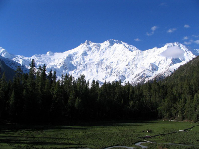 9. Núi Nanga Parbat (Pakistan). Chiều cao: 8.126m.