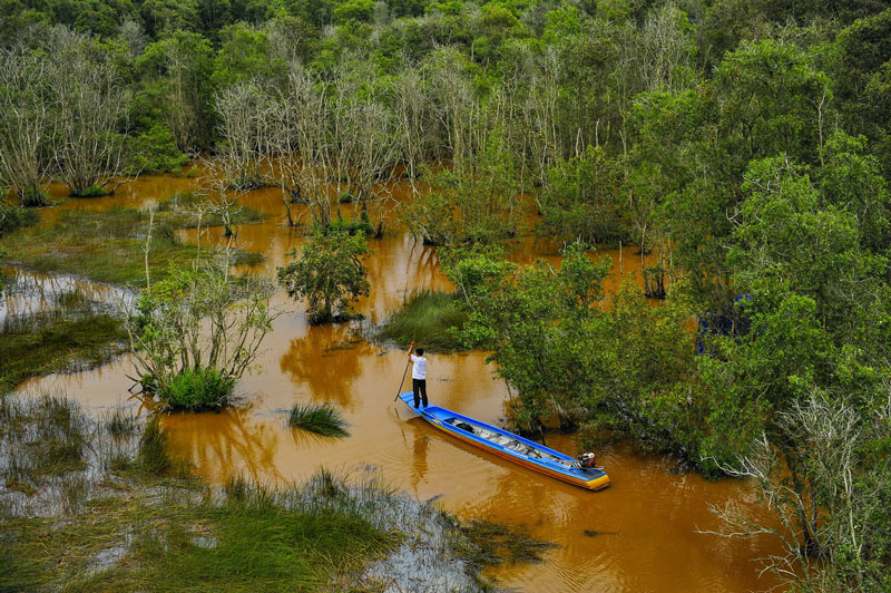 Đây khu đất ngập nước, được xếp trong hệ thống rừng đặc dụng của Việt Nam. Ảnh: Minh Đức.