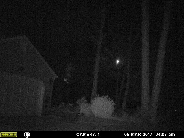 Vật thể lạ nghi UFO được phát hiện vào ngày 5/5/2017, vào một buổi tối gần nhà, giáp khu rừng ở New Jersey do một nhân chứng tình cờ chụp lại bằng máy ảnh hồng ngoại có sẵn. Nguồn ảnh: ufosightingsdaily.