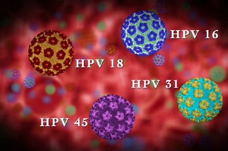 Virus HPV có nhiều chủng và gây bệnh ở cả nam giới.