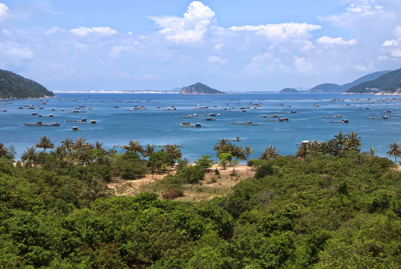 Ven bờ biển Vũng Rô có nhiều bãi cát vừa và nhỏ. Một số bãi đẹp như Bãi Chùa, Bãi Bàng, Bãi Lau. Trong lòng vịnh có nhiều loại tôm cá trú ngụ. Dưới đáy biển còn có nhiều loại san hô rất đẹp và độc đáo. Ảnh: Vietnamvoyagesblog.