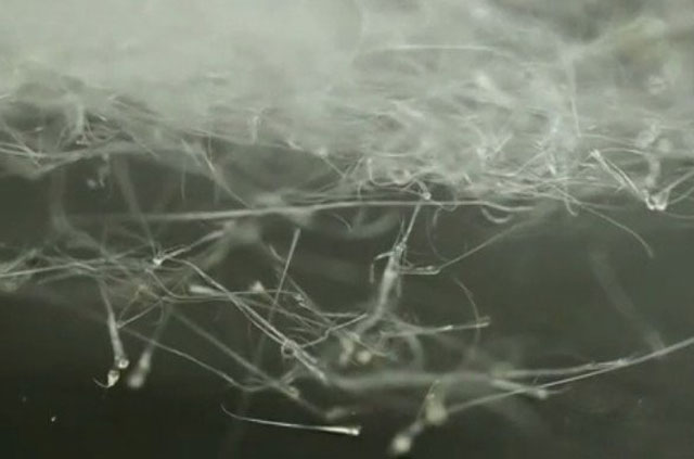 Máy kẹo bông của các nhà khoa học Mỹ có thể xe sợi polymer siêu mảnh. 