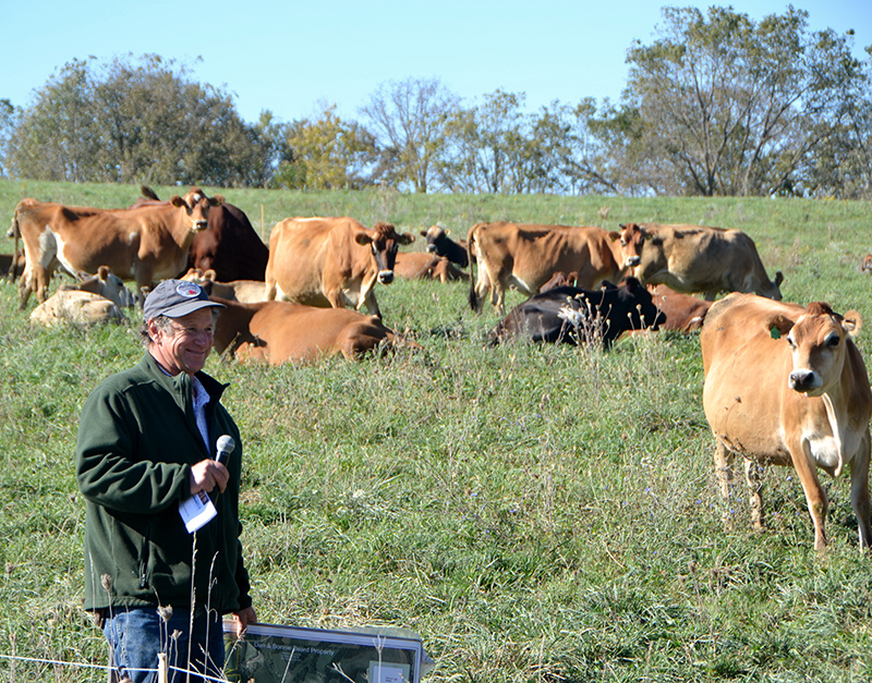 Một nông dân Hà Lan bên đàn bò sữa của mình. Ảnh: Practicalfarmers
