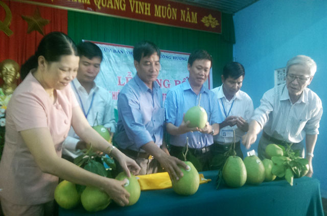 Tổ chức dán nhãn hiệu tại hộ thành viên Phạm Bằng tại thôn Lại Bằng, phường Hương Vân.