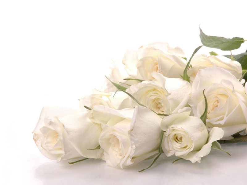 Hoa hồng trắng: Lấy cánh hoa hồng trắng rửa sạch trộn với lượng đường phèn vừa đủ, một ít nước lọc, đem hấp cách thủy. Uống 3 - 4 lần/ngày, 1 muỗng/lần.