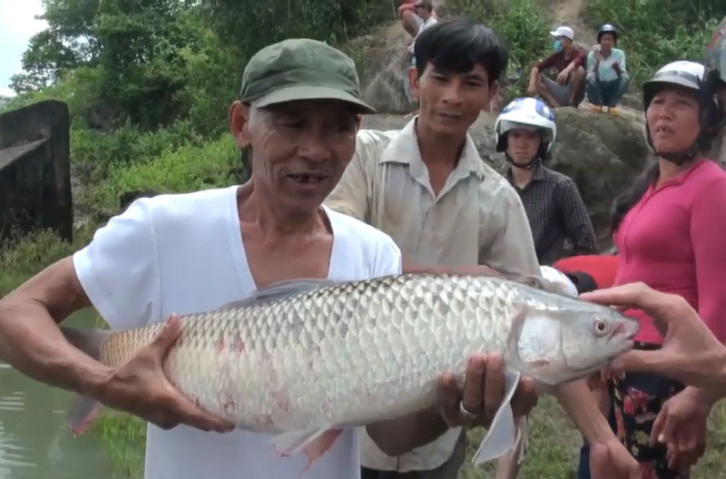 Một người dân địa phương bắt được con cá trắm 