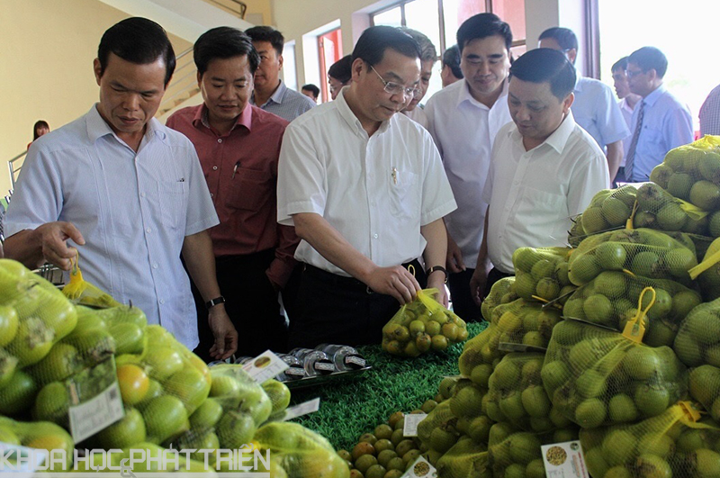 Bộ truởng Chu Ngọc Anh thăm các gian hàng trưng bày sản phẩm Hồng không hạt Quản Bạ đuợc Chỉ dẫn địa lý