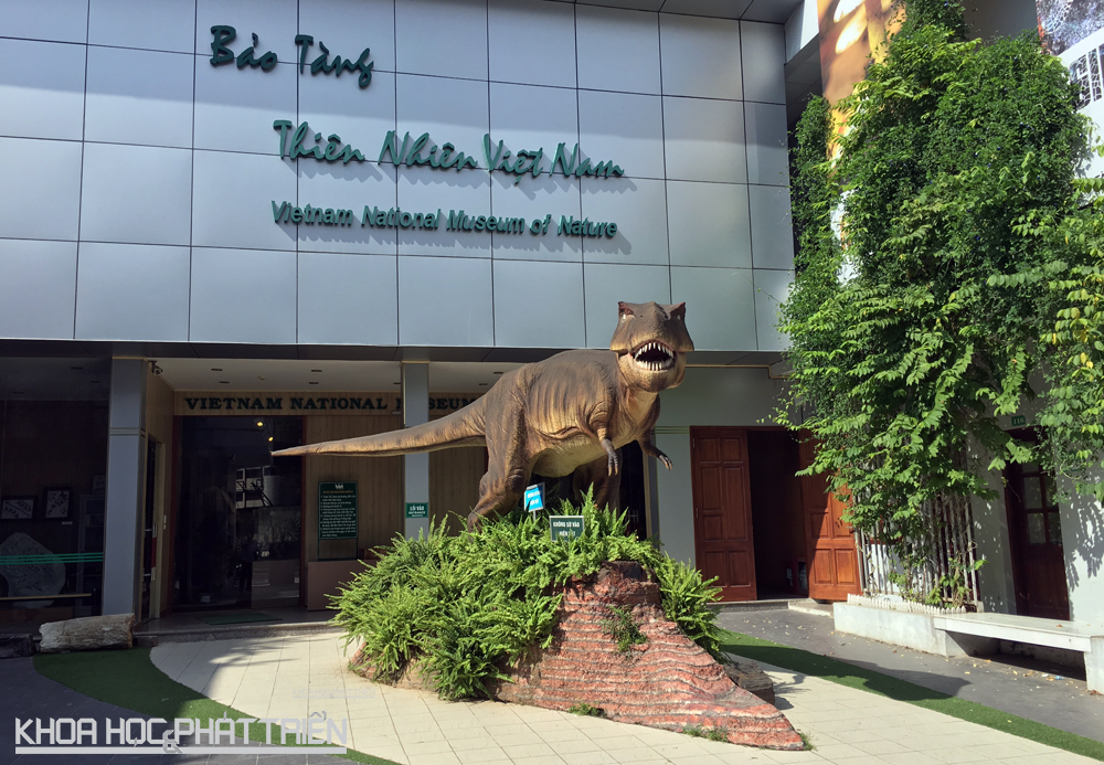 Bảo tàng thiên nhiên Việt Nam nằm phía bên trong của Viện hàn lâm khoa học công nghệ Việt Nam, tại số 18 Hoàng Quốc Việt (Hà Nội).