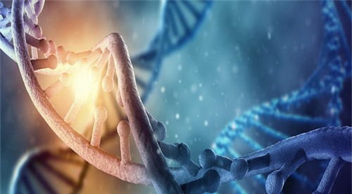 Những trải nghiệm thời thơ ấu có thể thay đổi DNA của bạn mãi mãi - 1