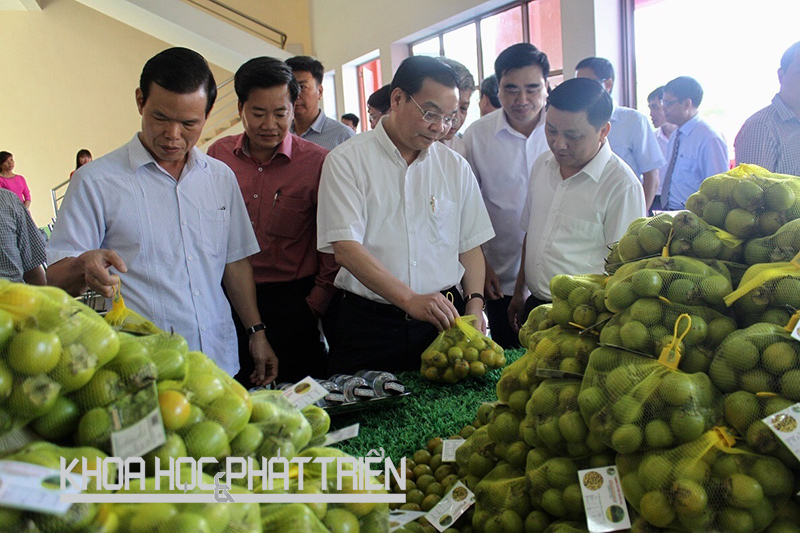 Ông Triệu Tài Vinh (đầu tiên bên trái) và Bộ trưởng Chu Ngọc Anh (thứ ba từ trái qua) thăm các sản phẩm nông, lâm nghiệp của Hà Giang. Ảnh: M. Hà