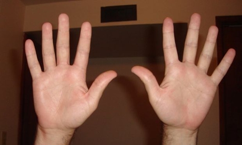 Con người có 10 ngón tay linh hoạt để cầm nắm các đồ vật. Ảnh: Instructables.