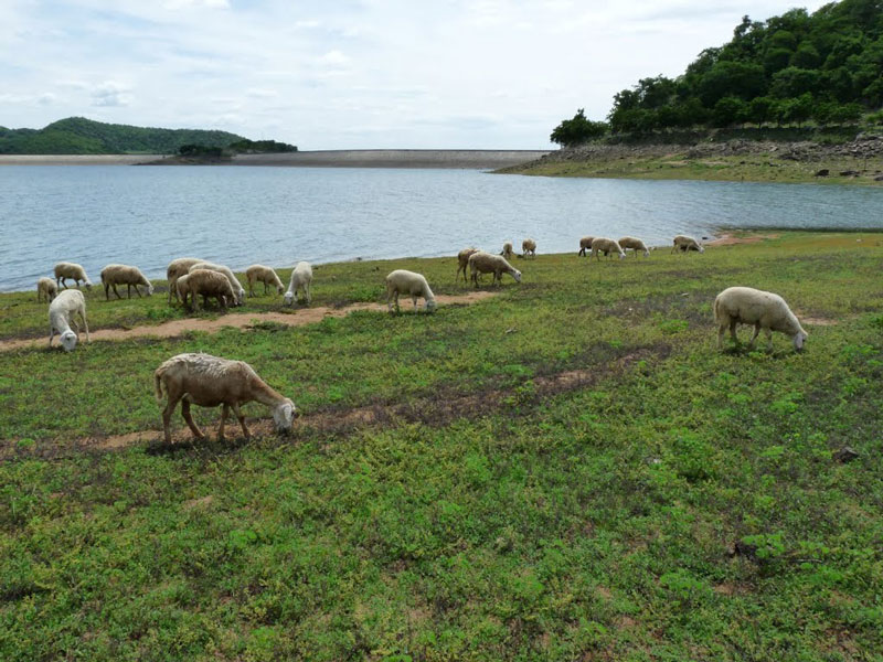 Hồ Sông Quao là công trình thủy lợi được xây dựng trong khoảng hơn 10 năm từ những năm 80 của thế kỷ XX, tọa lạc dưới chân đèo Gia Bắc, nối liền tỉnh Lâm Đồng và Bình Thuận. Ảnh: Tuệ Minh.