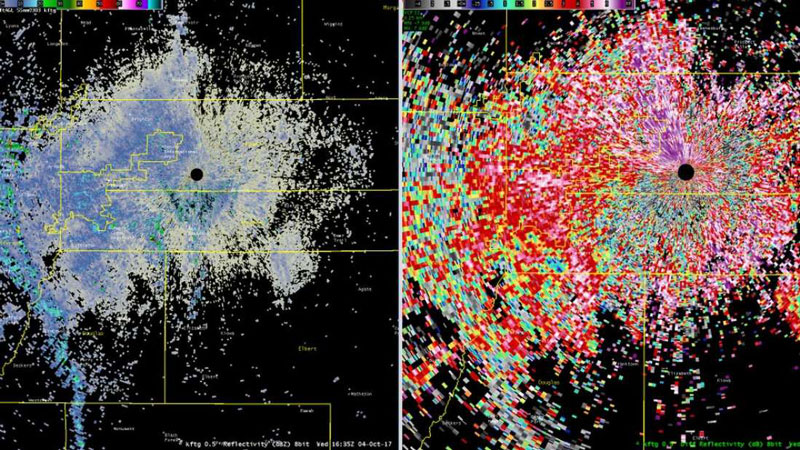 Hình ảnh bầy bướm do radar thời tiết của bang Colorado ghi được.
