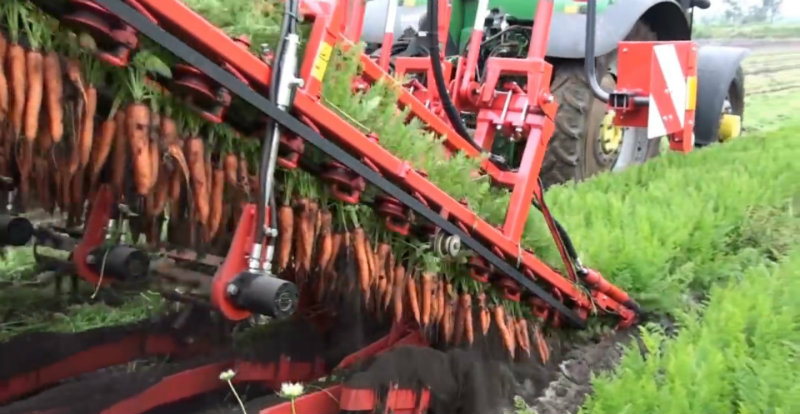 Máy GBC thu hoạch cà rốt siêu đẳng tại Na Uy. Ảnh: Autoevolution