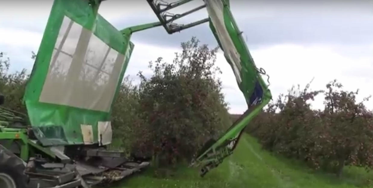 Cỗ máy thu hoạch táo với cấu trúc như hai bàn tay khổng lồ ôm lấy cây táo. Nguồn: Noal Farm 