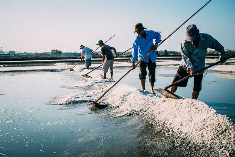 Trời nắng là thời điểm thích hợp nhất để sản xuất muối. Ảnh: Nguyễn Hoàng Phi.