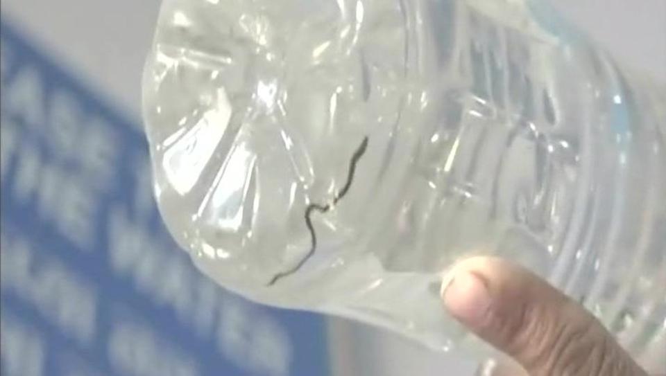 Rắn chui từ vòi cây nước vào chai ở một bệnh viện tại Ấn Độ. Ảnh: ANI