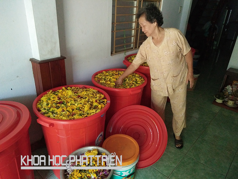 Bà Nguyễn Thị Tằm (80 tuổi, Đà Nẵng) sản xuất chế phẩm để cung cấp cho Công ty Minh Hồng. Ảnh: MH