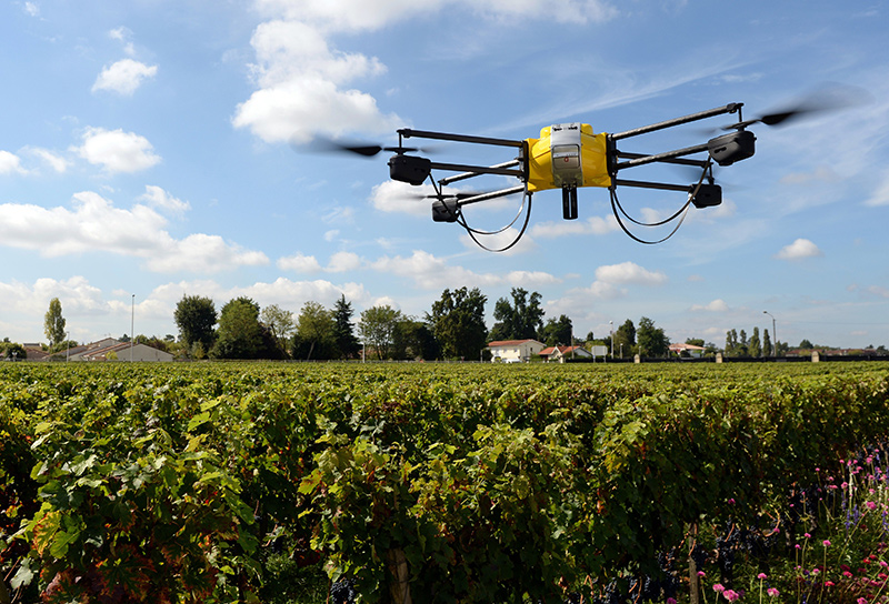 Máy bay không người lái - một cấu phần trong IoT nông nghiệp - thu thập thông tin cây trồng. Ảnh: IoT.do