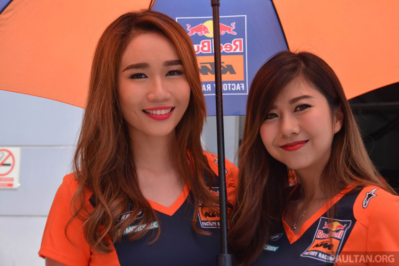 Các mỹ nhân của đội đua Red Bull.