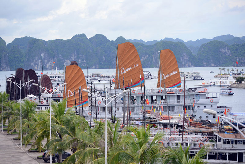 Cảng Tuần Châu đã được Tổ chức Kỷ lục Việt Nam xác lập là Cảng du thuyền nhân tạo lớn nhất Việt Nam. Ảnh: Tuấn Mark.