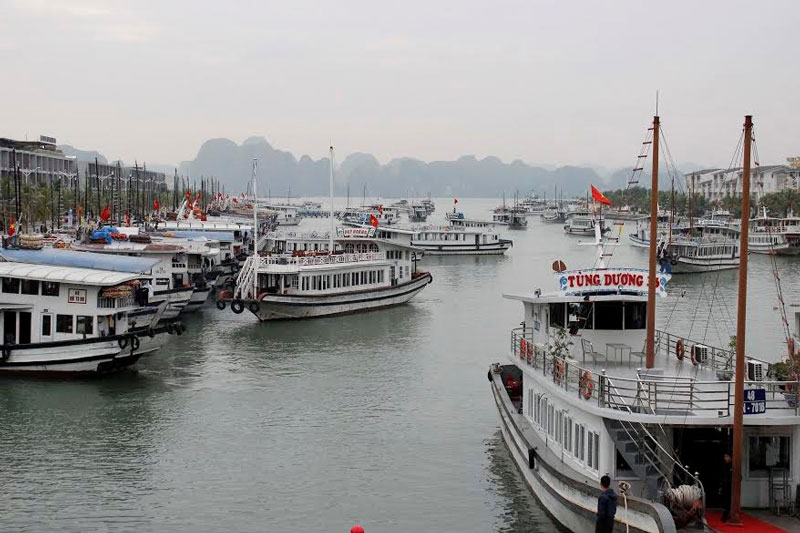 Cảng có diện tích lên tới 200 ha, nó có thể chứa được 2.000 tàu du lịch với hàng nghìn du khách cùng lúc. Ảnh: Tienphong.