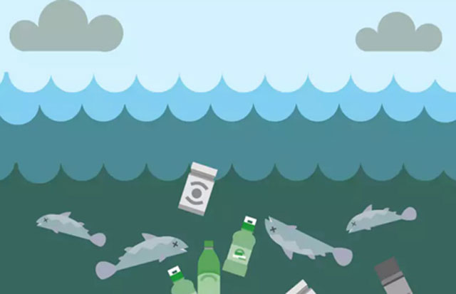 Các sản phẩm nhựa ảnh hưởng xấu tới sinh vật biển. Ảnh: Telegraph.