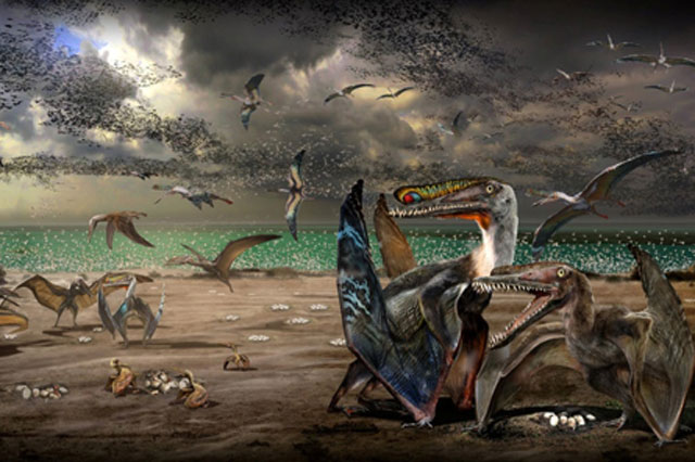 Thằn lằn bay là loài có xương sống biết bay đầu tiên trên Trái Đất. Ảnh: Reuters.