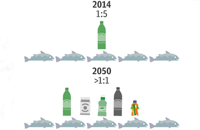 Khối lượng nhựa sẽ lớn hơn khối lượng cá năm 2050. Ảnh: Telegraph.