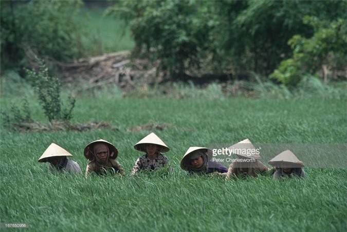 Hinh anh de doi ve phu nu Viet Nam thap nien 1990 (1)-Hinh-9
