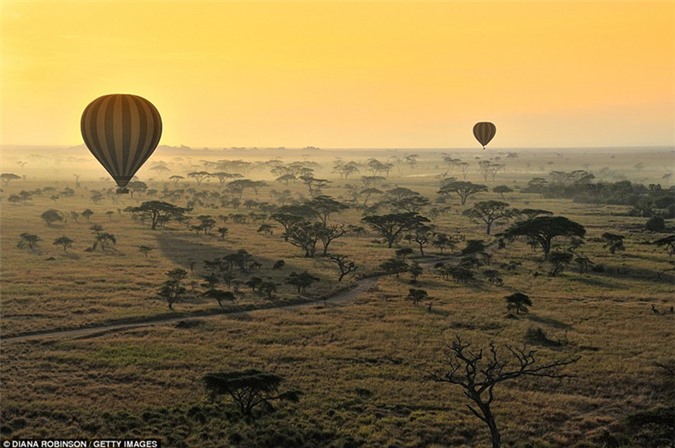 Tanzania: Nước Châu Phi có danh sách nhờ khí hậu ấm áp, địa lý đa dạng, Núi Kilimanjaro và Serengeti. Hình ảnh là những quả cầu khí cầu nóng lên trên savannah của Vườn Quốc gia Serengeti